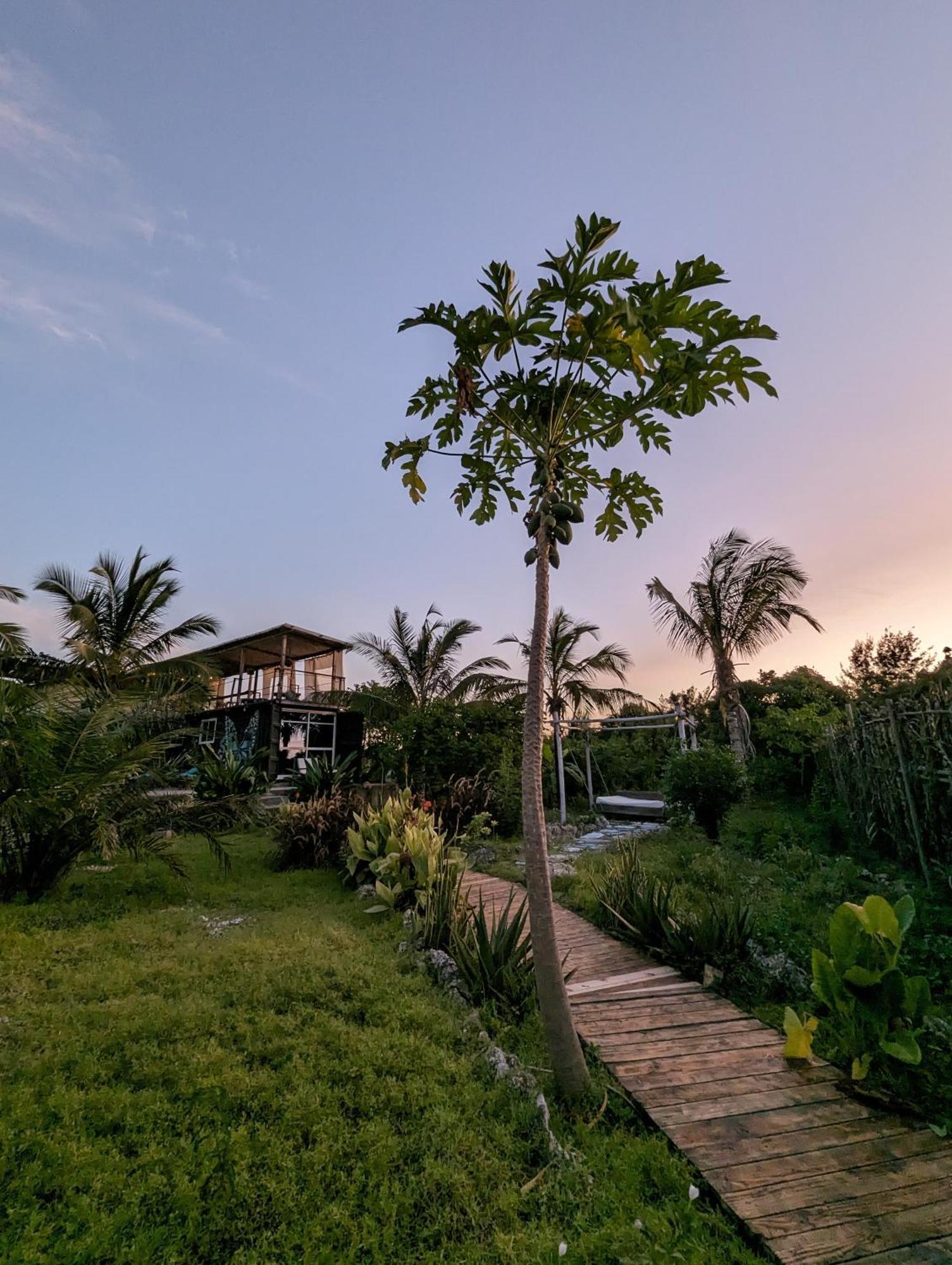 Jambiani Backpackers Hostel Экстерьер фото